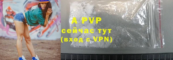 стаф Иннополис