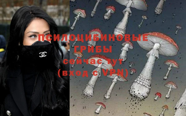 стаф Иннополис