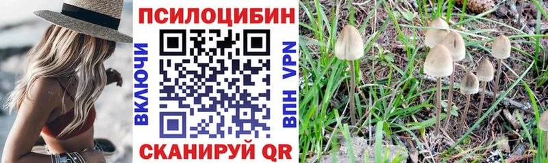 Галлюциногенные грибы Magic Shrooms  Купить  Минусинск 