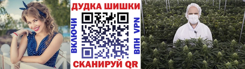 Шишки марихуана планчик  Купить закладки  Минусинск 